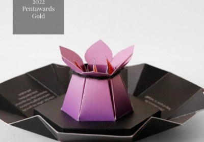 بانوی ایرانی برنده جایزه طلایی مسابقه Pentawards 2022